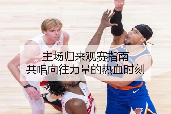 主场归来观赛指南 共唱向往力量的热血时刻