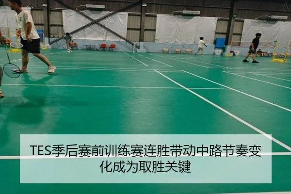 TES季后赛前训练赛连胜带动中路节奏变化成为取胜关键